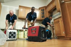 Replenishing Our Future: The Urgent Need for Water Restoration