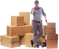 Cross-Country Moving: What to Expect When Hiring Professional Movers